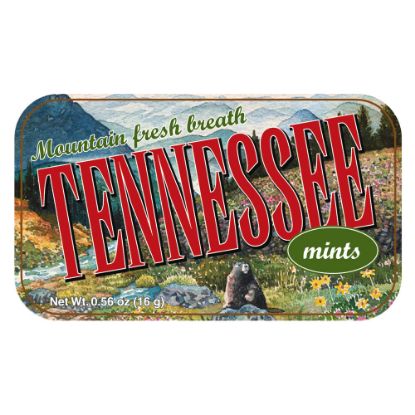 Picture of AmuseMints Destination Mint Candy, Tennessee Green, 0.56 Oz, Pack Of 24