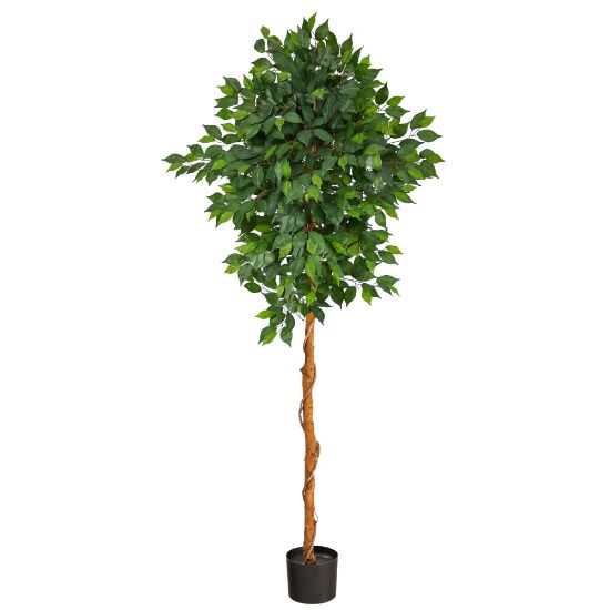 Picture of Nearly Natural Ficus 72inH Artificial Plant With Planter, 72inH x 27inW x 16inD, Green/Black