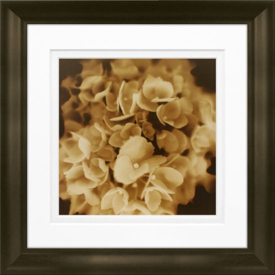 Picture of Timeless Frames Marren Espresso-Framed Floral Artwork, 8in x 8in, Snowball