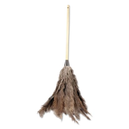 Picture of Boardwalk Professional Ostrich Feather Duster, Gray