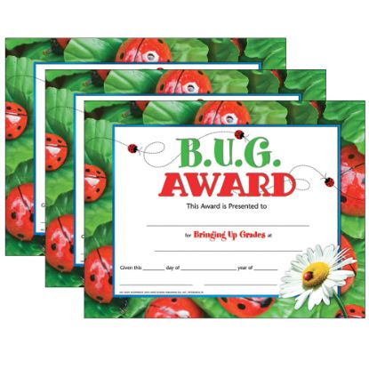 Picture of Hayes Certificates, 8-1/2in x 11in, B.U.G. Award, 30 Certificates Per Pack, Set Of 3 Packs