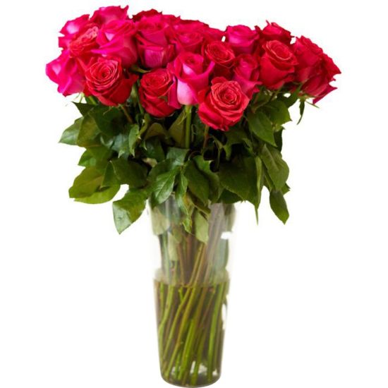 Picture of Rose Farmers Hot Pink Long Stem Roses, Hot Pink, Box Of 12 Roses