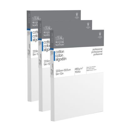 Picture of Winsor & Newton Professional Cotton-Stretched Traditional Canvases, 12in x 9in, White, Pack Of 3