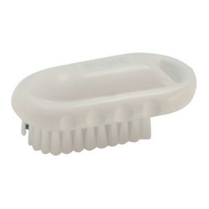 Picture of Carlisle Sparta Hand And Nail Brush, 2in x 5in, White