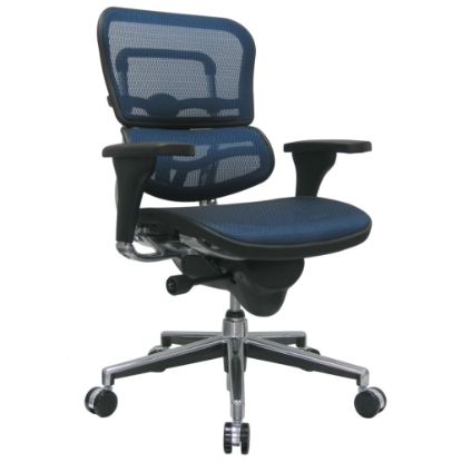 Picture of Eurotech Ergohuman Mid-Back Ergonomic Mesh Chair, Blue/Chrome