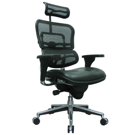 Picture of Raynor Eurotech Ergohuman Ergonomic Bonded Leather/Mesh High-Back Chair, Black/Chrome