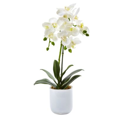 Picture of Nearly Natural Phalaenopsis Orchid 18-1/2inH Plastic Floral Arrangement With Frosted Glass Vase, 18-1/2inH x 8inW x 5inD, White