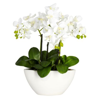 Picture of Nearly Natural 16inH Silk Triple Mini Phalaenopsis Flower Arrangement With Bowl Planter, White