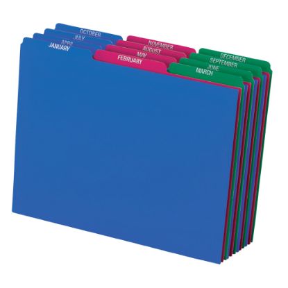 Picture of Pendaflex Poly File Guide Sets - Printed Tab(s) - Month - January-December - 8.5in Divider Width x 11in Divider Length - Letter - Assorted Polypropylene Divider - Assorted Tab(s) - Tear Resistant, Wear Resistant, Moisture Resistant - 12 / Set