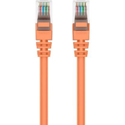 Picture of Belkin Cat5e Patch Cable - RJ-45 Male Network - RJ-45 Male Network - 10ft - Orange