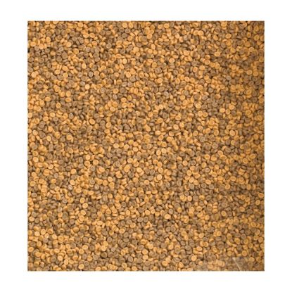 Picture of Childrens Factory Kidfetti Polypropylene Plastic Pellets, 10 Lb, Tan