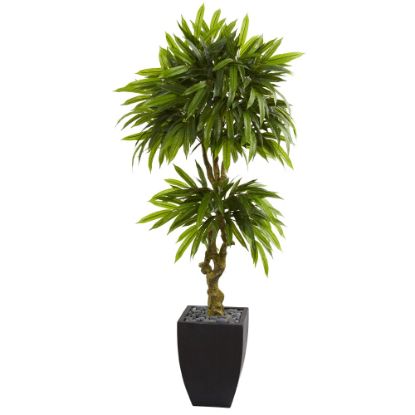 Picture of Nearly Natural 5-1/2ftH Polyester Artificial Mango Tree With Planter, Black Wash/Green