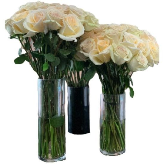 Picture of Rose Farmers Cream Dazzler Long Stem Roses, Cream, Box Of 12 Roses