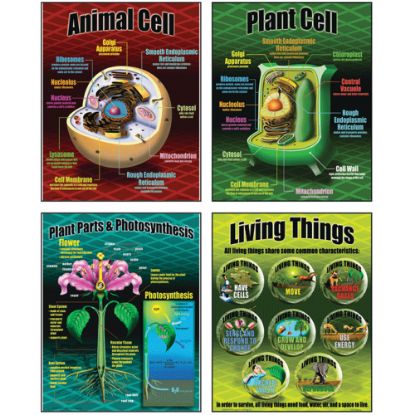 Picture of Teacher Created Resources McDonald 5-Piece Life Science Poster Set, 17in x 22in