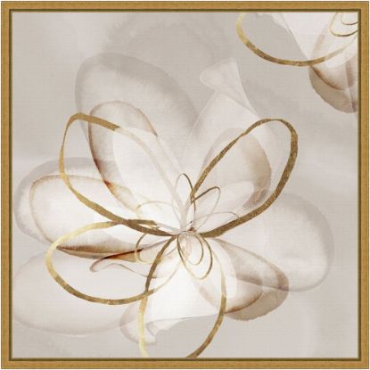 Picture of Amanti Art Transparent Beauty II Floral by Eva Watts Framed Canvas Wall Art Print, 16inH x 16inW, Gold