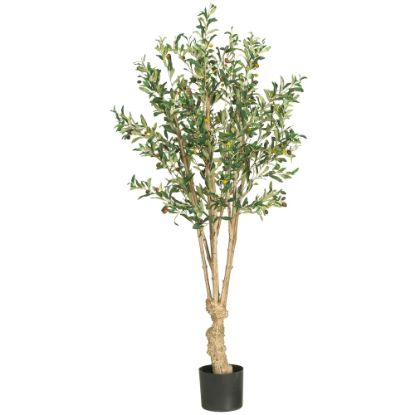 Picture of Nearly Natural 5ftH Silk Olive Tree With Pot, Green