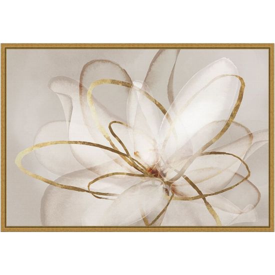 Picture of Amanti Art Transparent Beauty III Floral by Eva Watts Framed Canvas Wall Art Print, 16inH x 23inW, Gold