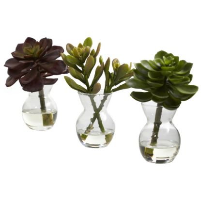 Picture of Nearly Natural 5-1/2inH Succulent Arrangements With Glass Vases, Green, Set Of 3 Arrangements