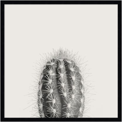 Picture of Amanti Art Haze Cactus Succulent Tall by The Creative Bunch Wood Framed Wall Art Print, 25inH x 25inW, Black