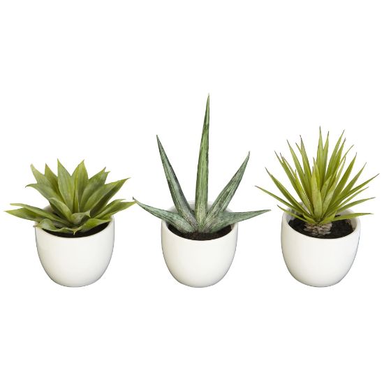 Picture of Nearly Natural 8-1/2inH Polyester 3-Piece Southwest Agave Collection, Green