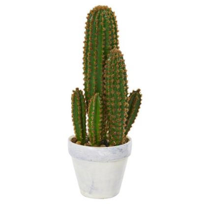 Picture of Nearly Natural Cactus Succulent 18in Artificial Plant With Planter, 18inH x 7inW x 6inD, Green