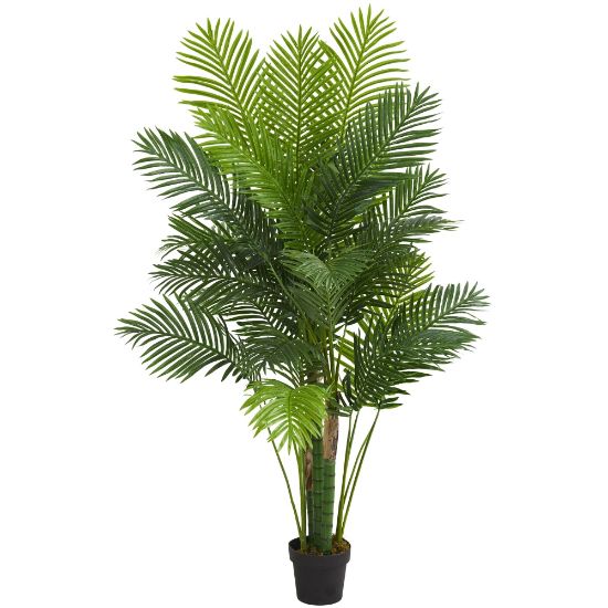 Picture of Nearly Natural Hawaii Palm 72inH Artificial Tree, 72inH x 14inW x 6-1/2inD, Green