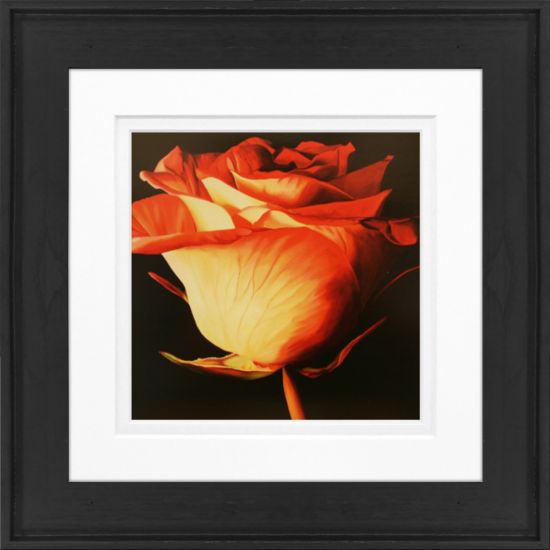 Picture of Timeless Frames Alexis Framed Floral Artwork, 8in x 8in, Black Frame, Rose I