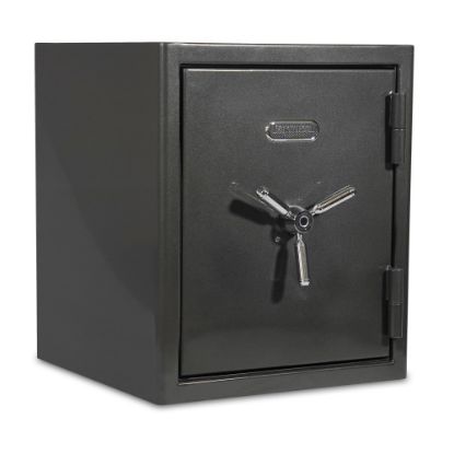 Picture of Sanctuary Platinum Biometric Lock Home/Office Safe, 3.32 Cu. Ft., Dark Grey Metallic