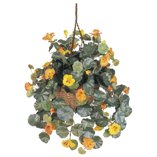 Picture of Nearly Natural 22inH Silk Nasturtium With Hanging Basket, Gold