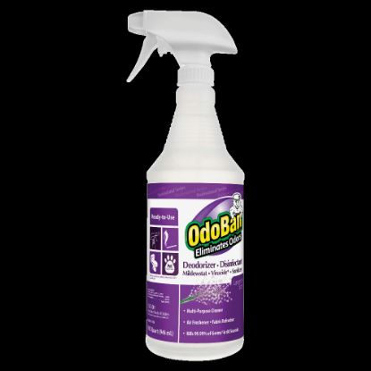 Picture of OdoBan Multi-Purpose Deodorizer & Disinfectant Spray, Lavender Scent, 32 Oz Bottle