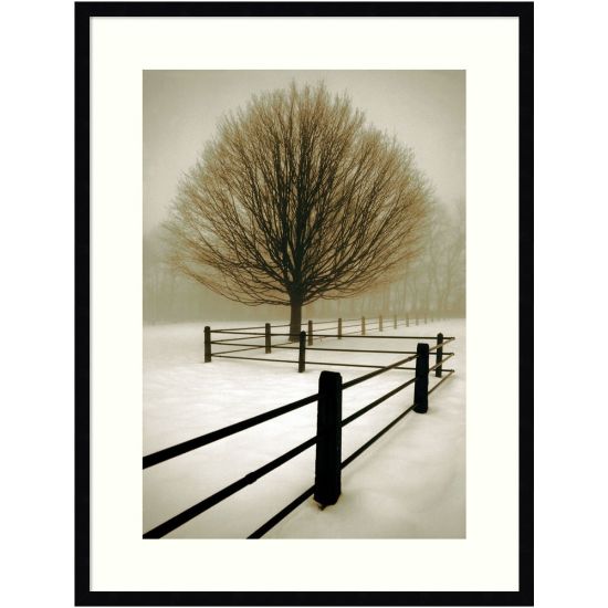 Picture of Amanti Art Solitude by David Lorenz Winston Wood Framed Wall Art Print, 25inW x 33inH, Black