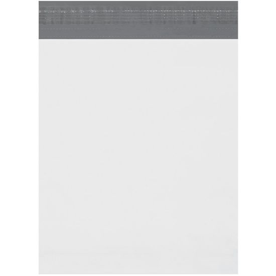 Picture of Partners Brand Expansion Poly Mailers, 11inH x 13inW x 2inD, White, Case Of 100