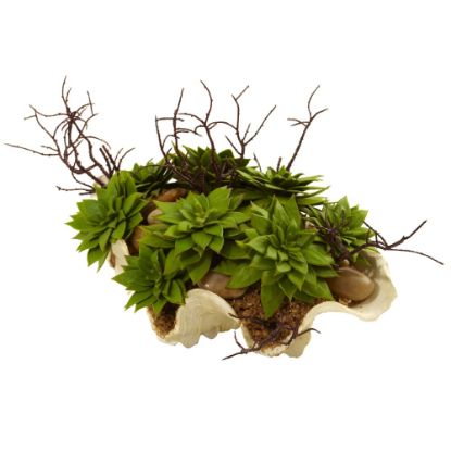 Picture of Nearly Natural Succulent 7inH Plastic Garden With Seashell Holder, 7inH x 11inW x 7inD, Green