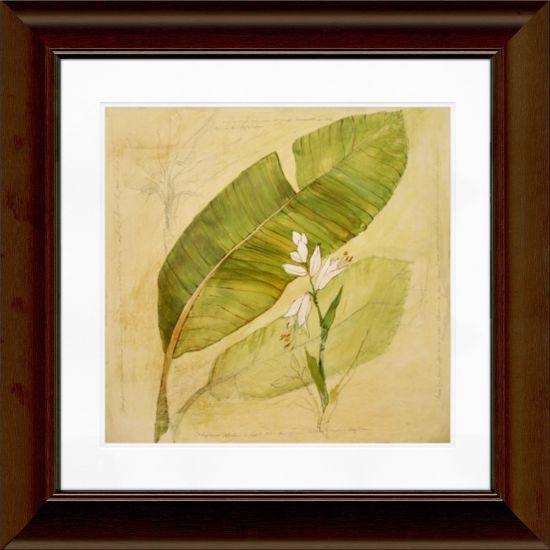 Picture of Timeless Frames Katrina Framed Floral Artwork, 12in x 12in, Brown, Botanical Study I