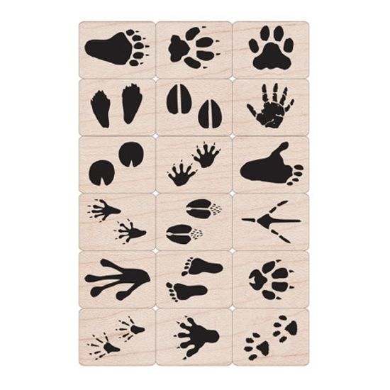 Picture of Hero Arts Wood Ink "n Stamp Stamps, 3in x 5in x 3in, Animal Prints, Set Of 18 Stamps