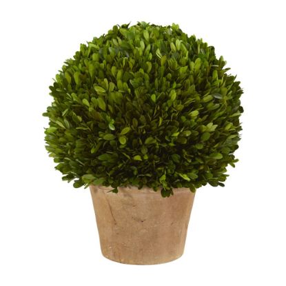 Picture of Nearly Natural Boxwood Ball 15inH Plastic Preserved Plant With Planter, 15inH x 12inW x 12inD, Green