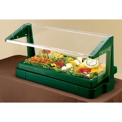 Picture of Cambro Buffet Bar With Sneeze Guard, 24-1/2inH x 24-1/8inW x 48inD, Green