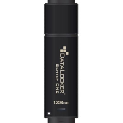 Picture of DataLocker Sentry ONE Encrypted Flash Drive - 128 GB - USB 3.1 - 256-bit AES - 5 Year Warranty - TAA Compliant