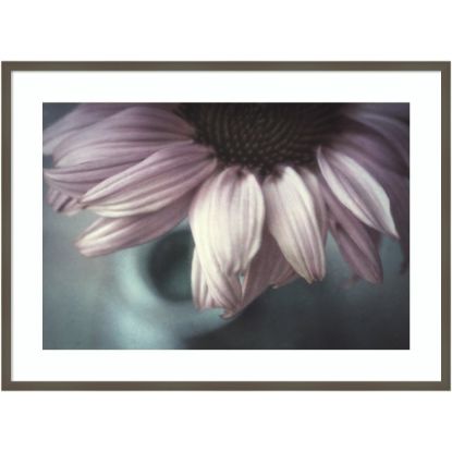 Picture of Amanti Art Meet Me Halfway (Flower) by Corinna van der Wood Framed Wall Art Print, 41inW x 30inH, Gray