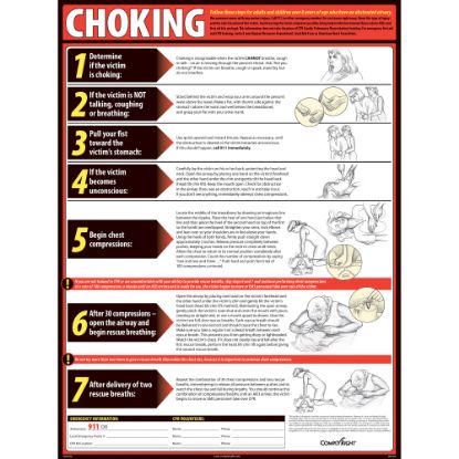 Picture of ComplyRight Choking Poster, 18in x 24in