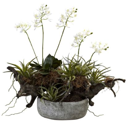 Picture of Nearly Natural Orchid & Succulent 20inH Plastic Floral Garden With Driftwood & Decorative Vase, 20inH x 22inW x 16inD, White/Green