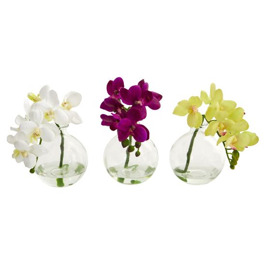 Picture of Nearly Natural 9inH 3-Piece Artificial Phalaenopsis Orchid Set With Vase, Multicolor