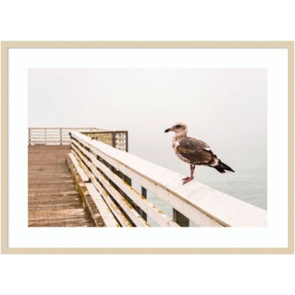 Picture of Amanti Art Sea Gull On Wharf by Alison Jones Wood Framed Wall Art Print, 41inW x 30inH, Natural