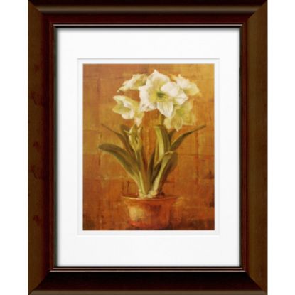 Picture of Timeless Frames Katrina Framed Floral Artwork, 11in x 14in, Brown, White Amaryllis On Bronze