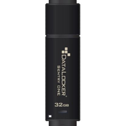 Picture of DataLocker Sentry ONE Encrypted Flash Drive - 32 GB - USB 3.1 - 256-bit AES - 5 Year Warranty - TAA Compliant