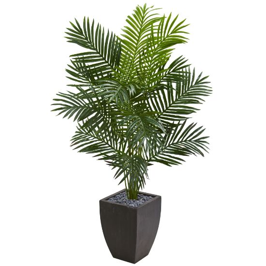 Picture of Nearly Natural Paradise Palm 66inH Artificial Tree With Planter, 66inH x 38inW x 26inD, Green/Black