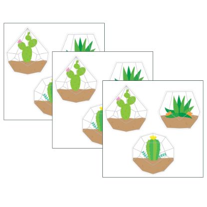 Picture of Creative Teaching Press Designer Cut-Outs, 6in, Positively Plants Terrariums, 36 Cut-Outs Per Pack, Set Of 3 Packs