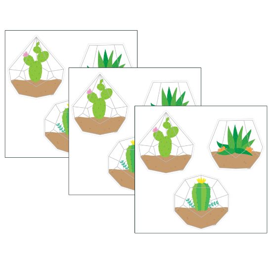 Picture of Creative Teaching Press Designer Cut-Outs, 6in, Positively Plants Terrariums, 36 Cut-Outs Per Pack, Set Of 3 Packs