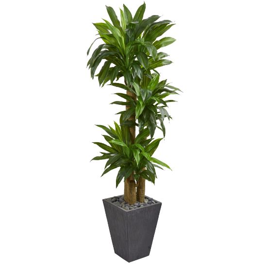 Picture of Nearly Natural 5-1/2ftH Real-Touch Polyethylene Cornstalk Dracaena Plant With Planter, Green/Slate