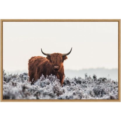 Picture of Amanti Art Highlander Horns by Jaap van den Framed Canvas Wall Art Print, 23in x 16in, Maple